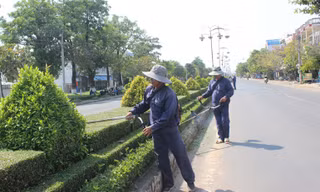 Bộ Công an yêu cầu cung cấp hồ sơ 30 dự án cây xanh ở Phú Yên