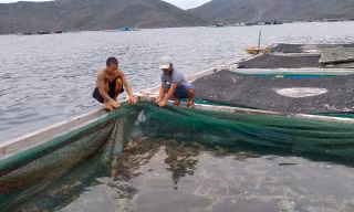 Giải pháp nào 'đánh thức' tiềm năng nuôi biển?