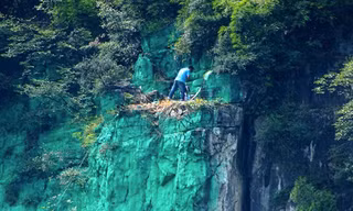 Kỳ nhân Dương Chí Cương sơn lại màu xanh cho vách núi