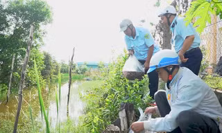 Cà Mau xử lý việc khai thác cá non 