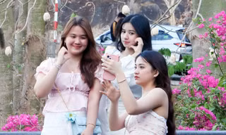 Hàng bông gòn ở Vũng Tàu bung nở trắng xoá, cảnh đẹp tựa 'tuyết xứ Hàn'