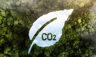 Việt Nam thí điểm sàn giao dịch carbon trong năm nay