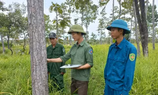 Quan tâm đào tạo nghề cho lao động vùng dân tộc thiểu số