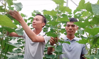  Phát huy vai trò Hợp tác xã trong xoá đói giảm nghèo ở Hà Giang