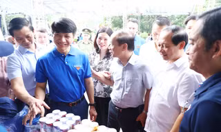 Ngày hội ‘Thanh niên công nhân – Lan toả năng lượng tích cực’ khu vực phía Bắc