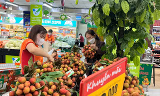Vải thiều 'phủ đỏ' từ chợ đến siêu thị TPHCM