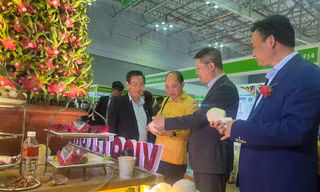 Hơn 500 doanh nghiệp ngoại đăng ký mua hàng Việt