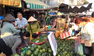 'Chưa bao giờ cam sành rẻ như lúc này'
