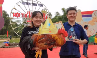 'Vua gà Tiên Yên' - cuộc thi có một không hai