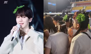 Concert của Baekhyun EXO tại TP.HCM: Khán đài biến thành "vườn rau xà lách"