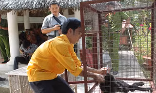 Người trong cuộc kể chuyện giải cứu động vật hoang dã