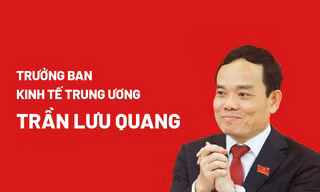 Chân dung Trưởng Ban Kinh tế Trung ương Trần Lưu Quang