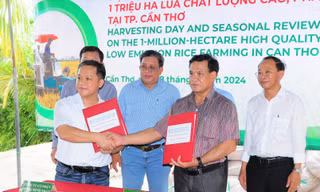 DN cùng HTX cam kết đồng hành