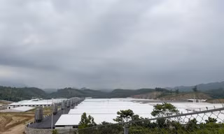 Đình chỉ hoạt động trang trại chăn nuôi lợn công nghệ cao ở Thanh Hóa 