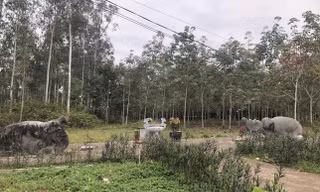Hội thảo khoa học về các vị vua, công thần thời đầu Lê Trung Hưng