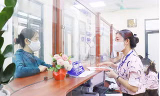 Đến 30/6, tất cả lãnh đạo, cán bộ, công chức phải xử lý hồ sơ công việc trên môi trường mạng