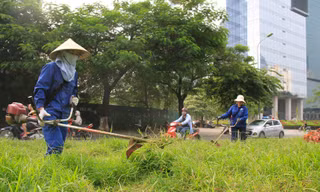 Hà Nội cắt cỏ trở lại: Chết máy vì cỏ quá rậm
