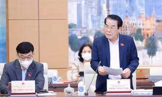 Trưởng ban Dân nguyện Dương Thanh Bình báo cáo tại phiên họp