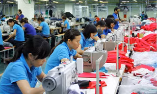 Tất cả lao động từ 16 tuổi đều được 'định danh' trong dữ liệu quốc gia
