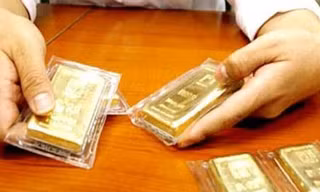 Lừa 370 cây vàng rồi trốn đi làm... ô sin