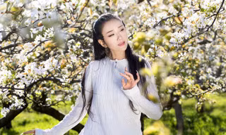 Dương Lệ Bình