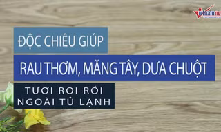 Tuyệt chiêu giúp rau thơm, măng tây, dưa chuột tươi rói trong tủ lạnh