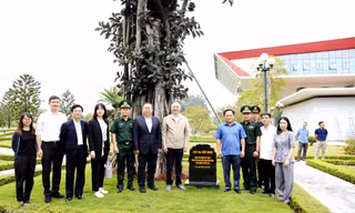 Cây đa Hữu nghị ở cửa khẩu Lạng Sơn. Ảnh: Duy Chiến 