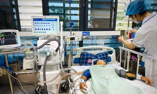 Cấp cứu bệnh nhân bị ong đốt ở Lạng Sơn. 