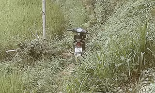 Hiện trường vụ tai nạn, 