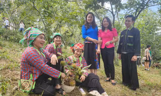 Giao lưu văn nghệ mừng mùa hạt dẻ bội thu. Ảnh: Duy Chiến 