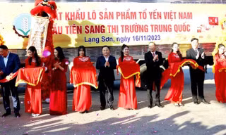 Xuất khẩu tổ yến sang Trung Quốc.