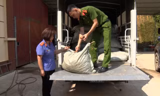Tang vật vụ buôn bán, vận chuyển chân gà ở Tràng Định. Ảnh: Q.T