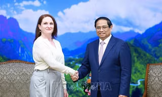 Thủ tướng Phạm Minh Chính tiếp Đại sứ New Zealand Caroline Beresford ngày 13/8. (Ảnh: TTXVN)