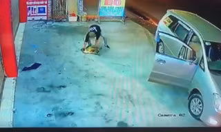 Cẩu tặc đi ôtô, dùng súng điện trộm chó ngay trước nhà