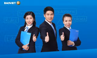 Tập đoàn Bảo Việt (BVH) đạt 1.037 tỷ đồng lợi nhuận sau thuế hợp nhất, hoàn thành 84,6% kế hoạch năm
