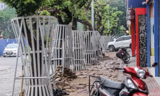 Lo ngại mất trộm, Hà Nội mặc 'áo giáp sắt' cho hàng sưa đỏ