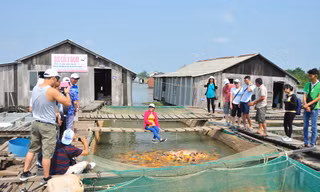 Du lịch ĐBSCL thiệt hại nặng do dịch COVID - 19