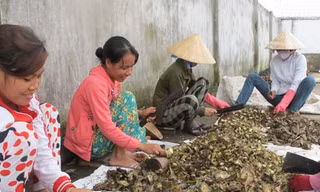 Thu tiền tỉ từ đồ bỏ đi