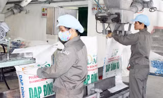 DAP - Vinachem đặt kế hoạch tiêu thụ 56.000 tấn DAP trong những tháng cuối năm 