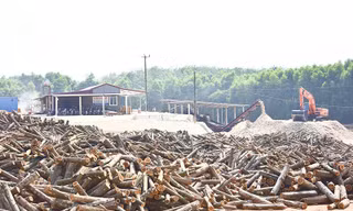 Gỗ dán là sản phẩm đầu ra của dăm gỗ từ rừng trồng của nông dân. Ảnh minh hoạ.