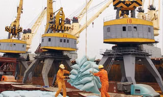 Nghị viện châu Âu thông qua EVFTA, mở ra cơ hội mới về thị trường xuất khẩu cho Việt Nam 