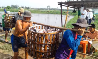 Theo các chuyên gia, nông sản, thủy sản của Việt Nam vẫn có cửa xuất khẩu tốt sang Trung Quốc nếu chất lượng và phương thức kinh doanh có sự thay đổi 