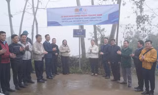 Tỉnh Đoàn Bình Dương triển khai chương trình ‘Xuân Tình nguyện’ năm 2024 tại Lào Cai