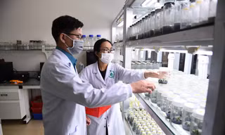 TP. HCM thu hút chuyên gia, nhà khoa học trẻ... với mức thu nhập đến 1,5 tỷ đồng/năm
