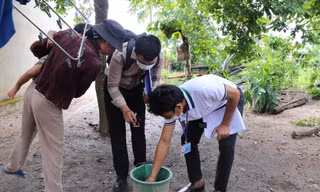 Ngành Y tế Đắk Lắk tăng cường các biện pháp diệt muỗi tại các khu dân cư