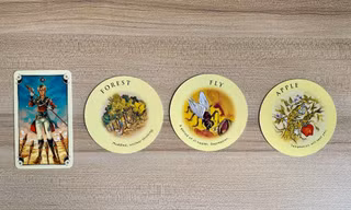 Tarot tuần này: Sư Tử gặp đối tượng có sở trường “lật mặt”, Cự Giải cần kiên trì