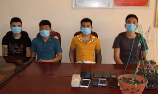 4 đối tượng lừa đảo bán lan đột biến bị Công an Hà Nam bắt giữ - Ảnh: Hoàng Long