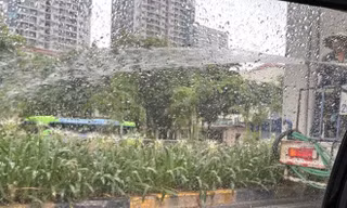 Xác minh thông tin công nhân phun nước tưới cây giữa trời mưa to ở Hà Nội