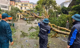 Khu du lịch Tam Đảo tiếp tục đóng đường sau bão số 3