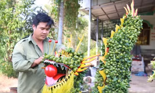 Quất hình rồng phục vụ Tết hút khách 